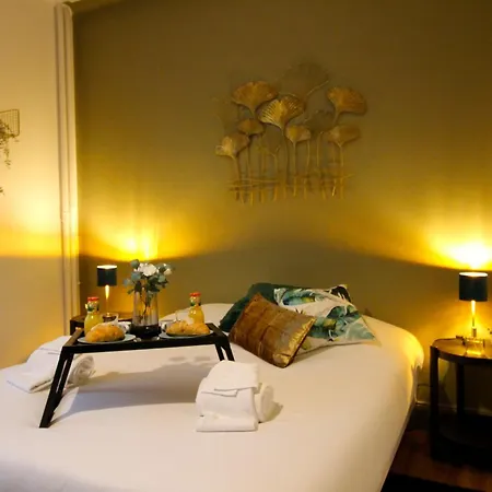 Le Shilichic - Gare Apartament Schiltigheim